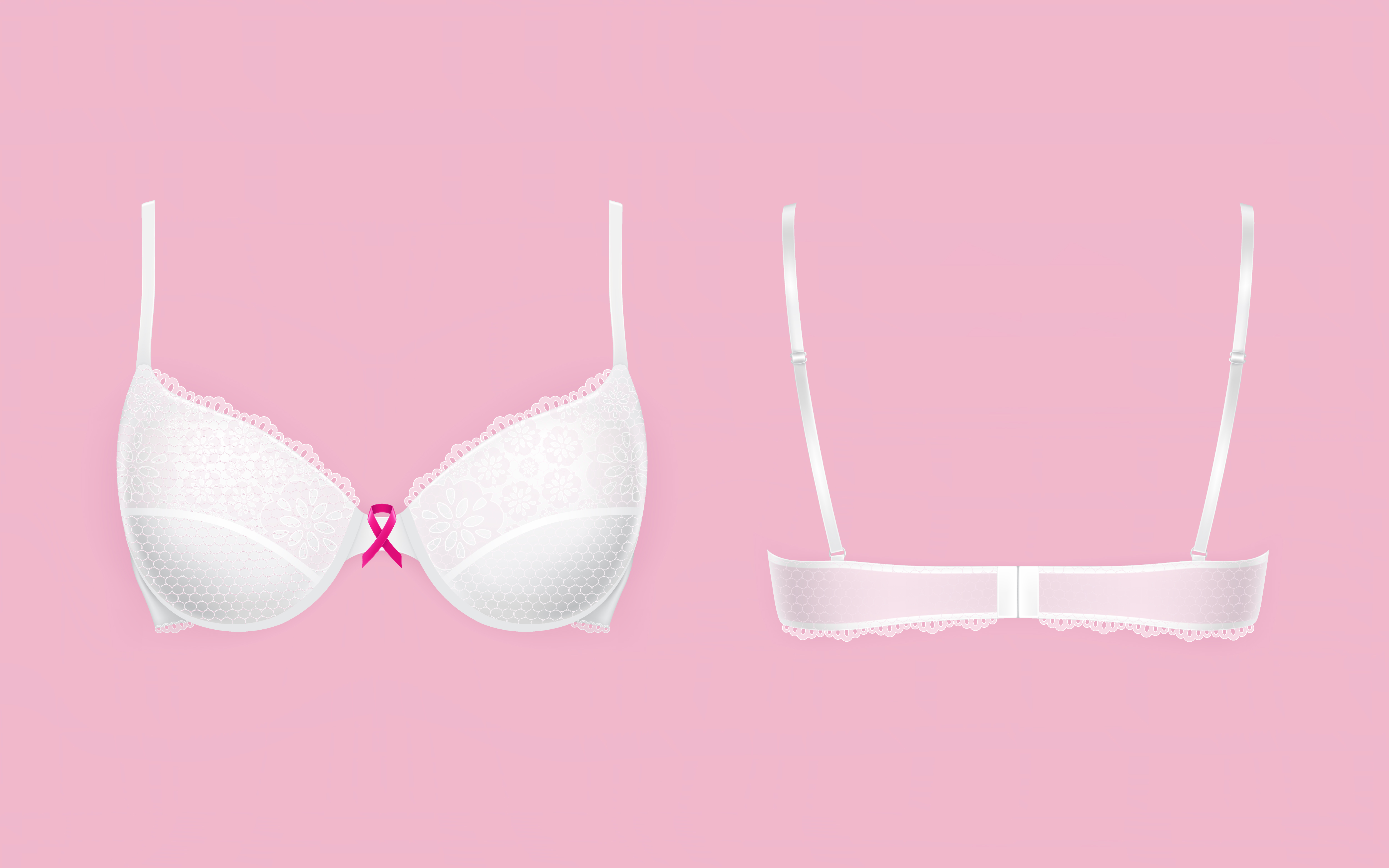 Vector white bra with lace, front and back view