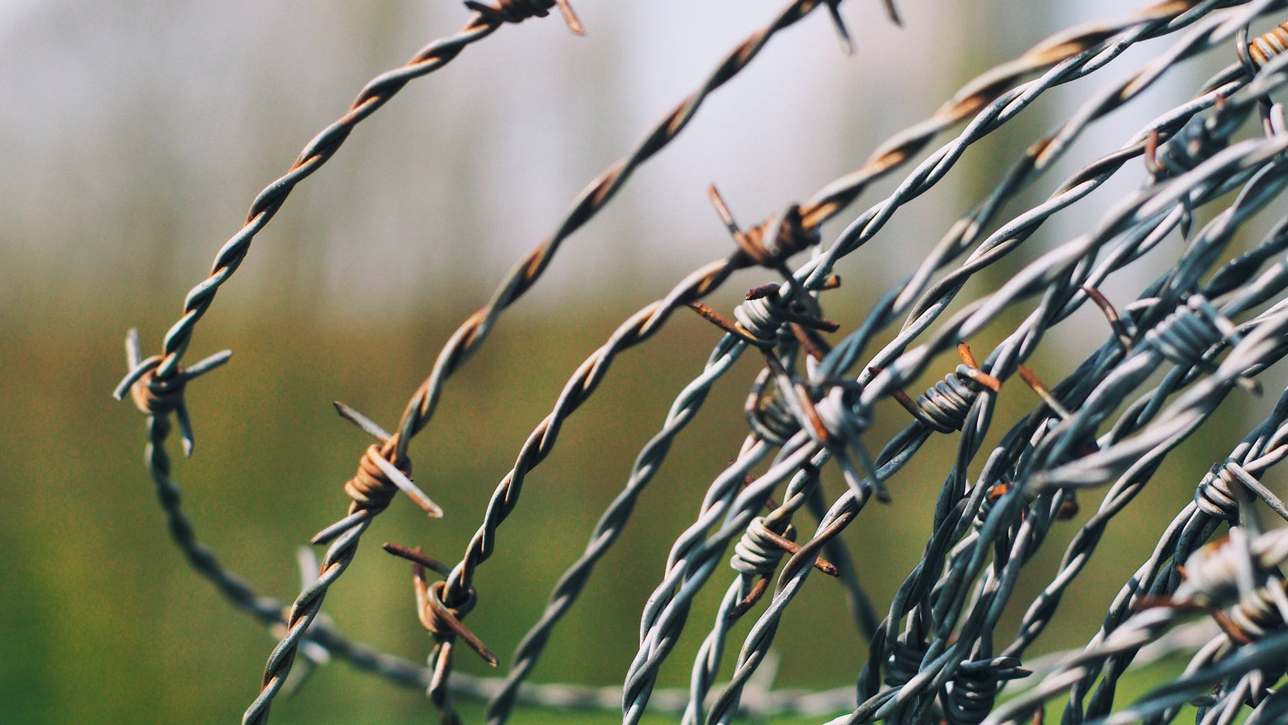 close up photography of barbed wire