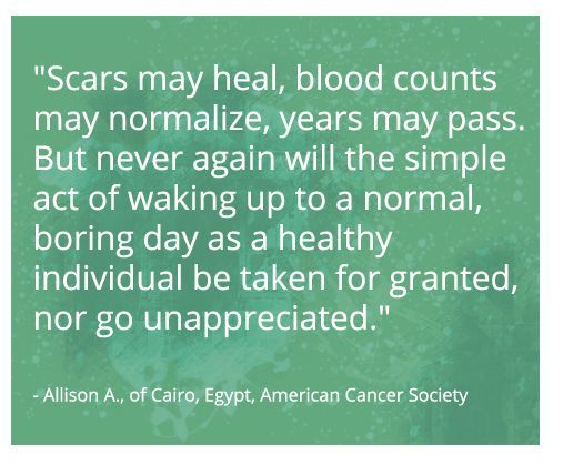 c8c8fc04403aea77966a19b1a154face