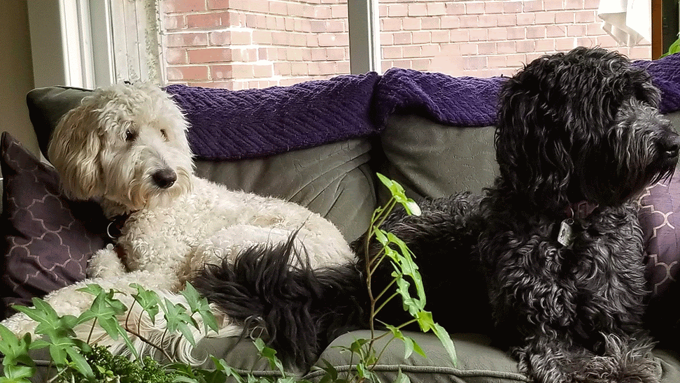 20191104_104609-animation